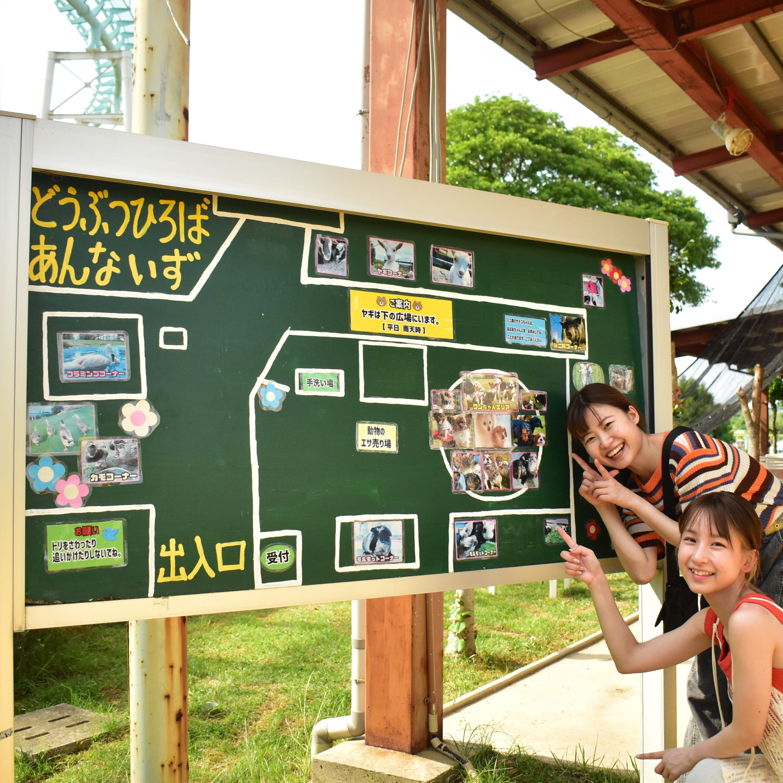 ワンちゃんとゆかいな動物広場 - e2e21cd6cad1dd4d54d9749fe0b38f4a-scaled.jpg