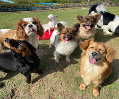 ワンちゃんとゆかいな動物広場 - 2023-07-19.jpg